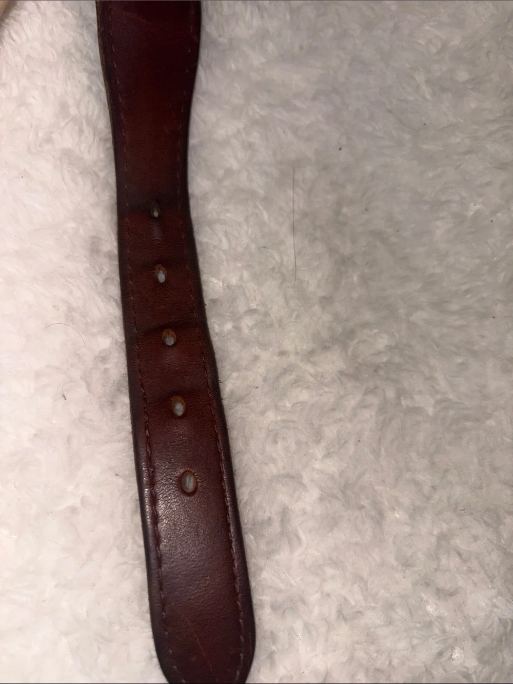 University of Kentucky Wildcats Ribbon Belt Leather Brass The Jardine Collection